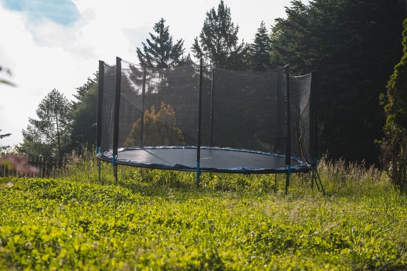 Trampolin auf der Wiese am Waldrand